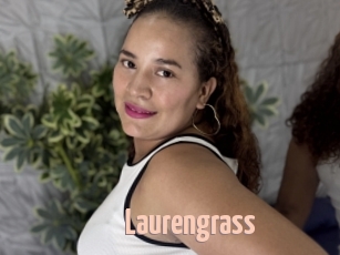 Laurengrass