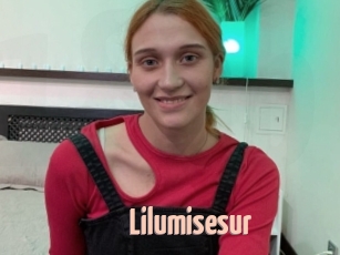 lilumisesur 18A blog