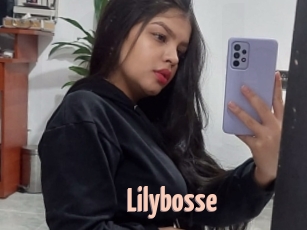 Lilybosse