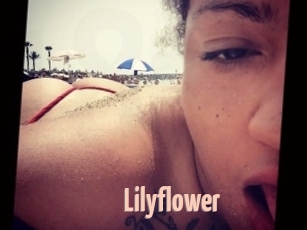 Lilyflower