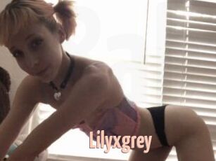 Lilyxgrey