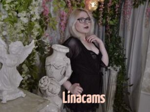 Linacams