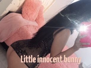 Little_innocent_bunny