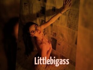 Littlebigass