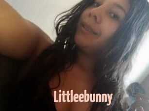 Littleebunny