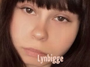 Lynbigge