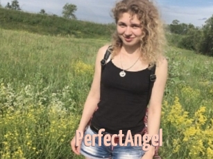 PerfectAngel
