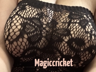 Magiccricket