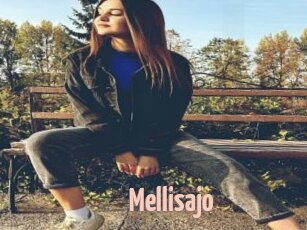 Mellisajo