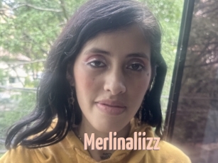 Merlinaliizz