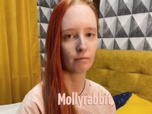 Mollyrabbit