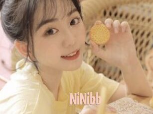 NiNibb