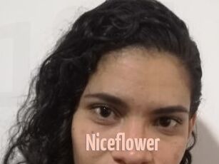 Nice_flower