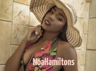 NoaHamiltons