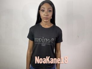 NoaKane18