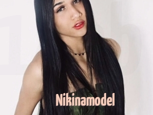 Nikinamodel