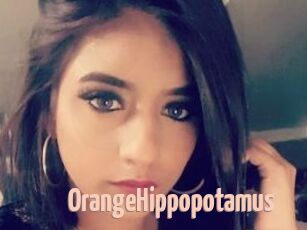OrangeHippopotamus