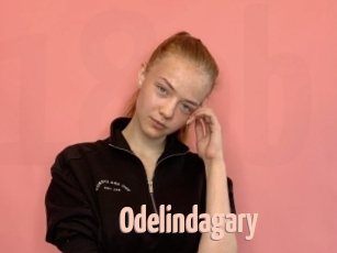 Odelindagary