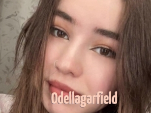 Odellagarfield