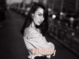 PaleDaisy