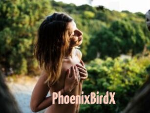 PhoenixBirdX
