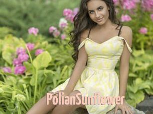 PolianSunflower 18A blog