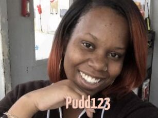 Pudd123