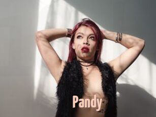 Pandy