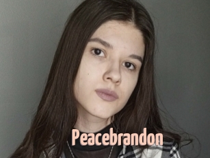 Peacebrandon