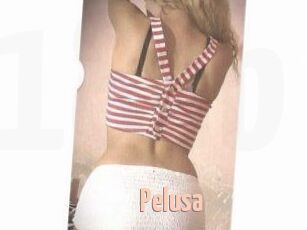Pelusa