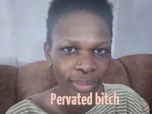 Pervated_bitch