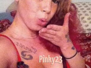 Pinky23