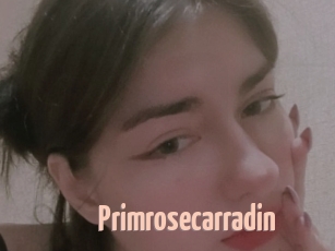 Primrosecarradin