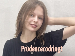 Prudencecodringt