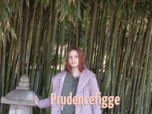Prudencefigge