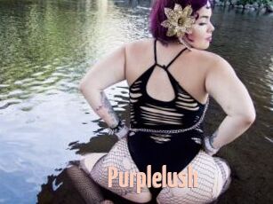 Purplelush