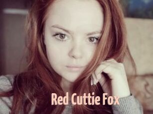 Red_Cuttie_Fox