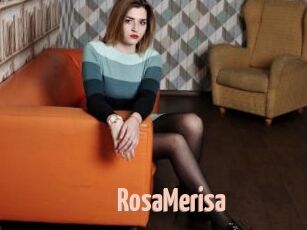 RosaMerisa 18A blog