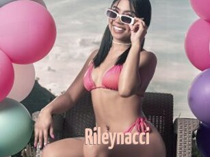 Rileynacci