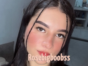 Rosebigboobss