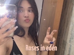 Roses_in_eden