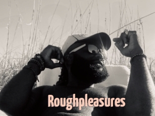 Roughpleasures