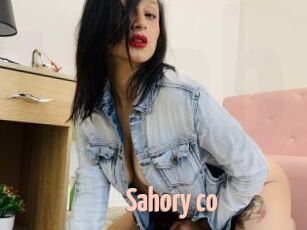 Sahory_co