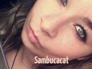 Sambucacat