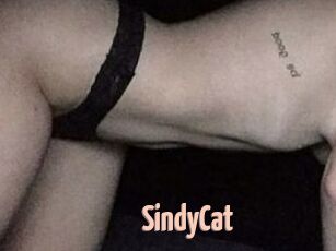 SindyCat