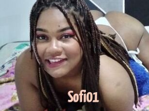 Sofi01 18A blog
