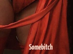 Somebitch