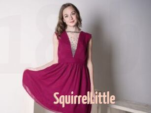 SquirrelLittle