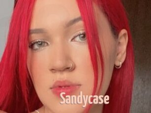 Sandycase