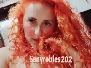 Sanyrobles202